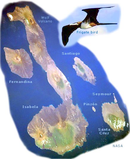 Galapagos Imagem