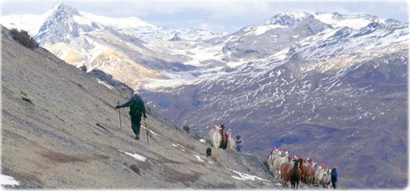 Trilha nos Andes