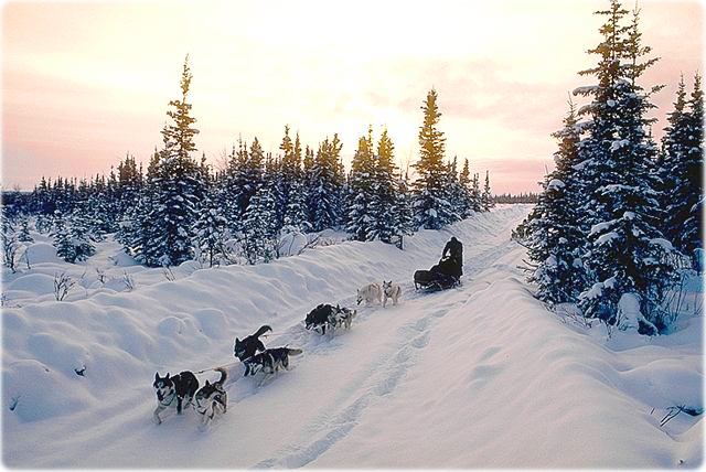 WinterCanada