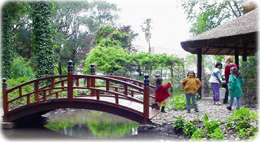 Jardim Japones